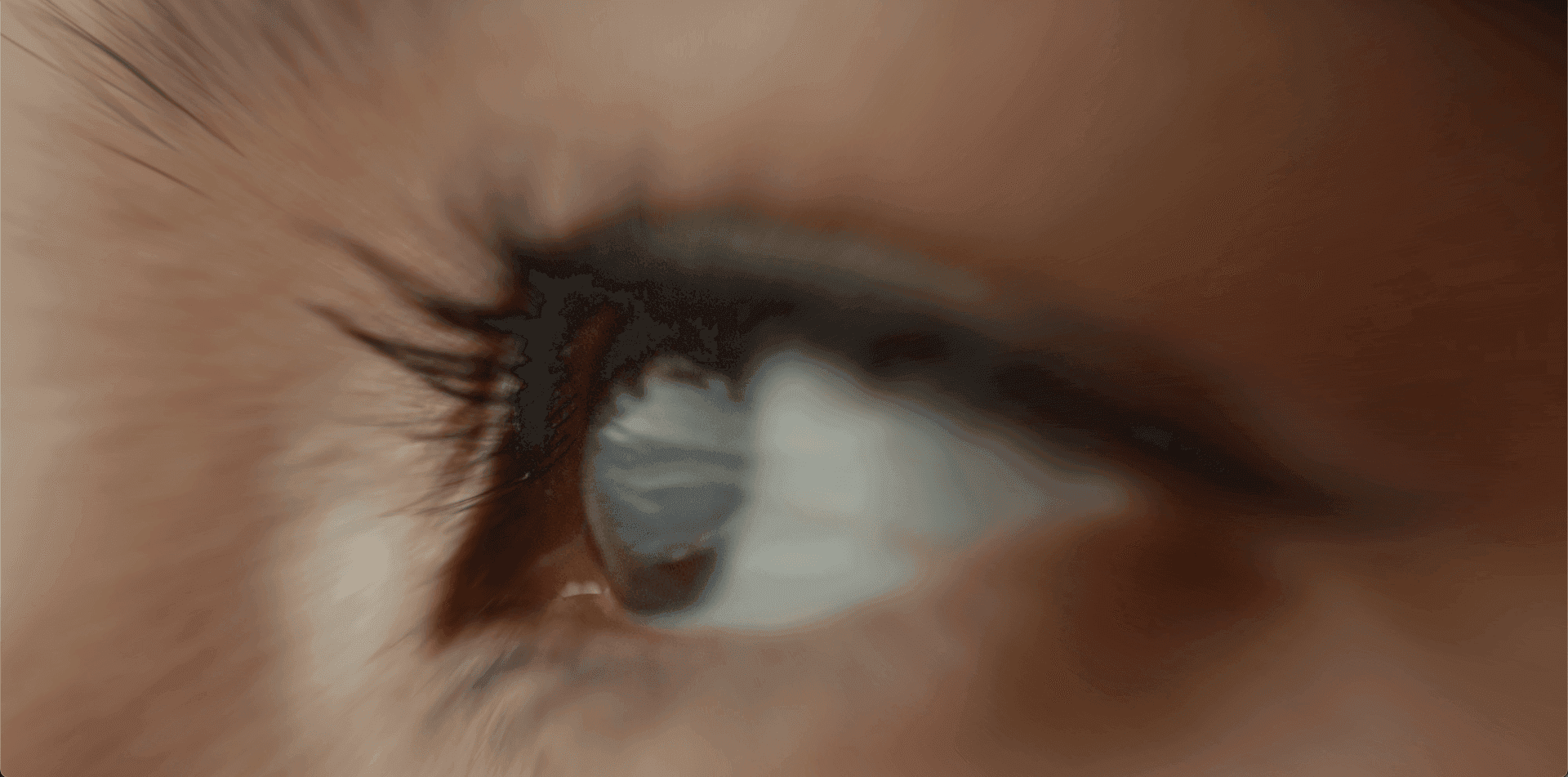 porfolio-featured-image-29