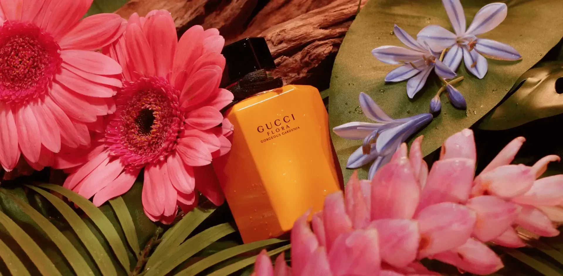 porfolio-featured-image-undefined